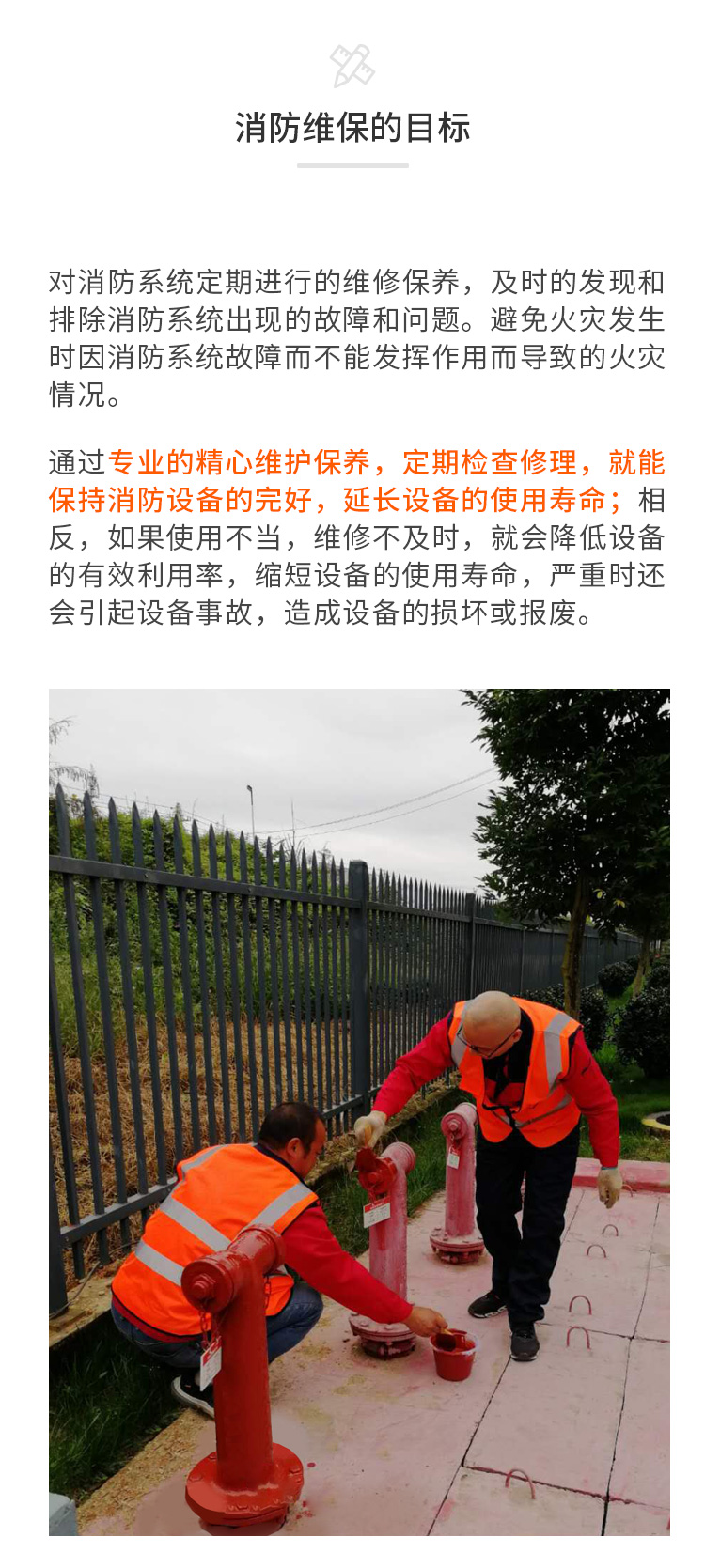 澳门6肖6码期期中特